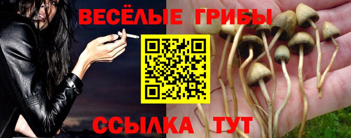 Мирный  Галлюциногенные грибы мухоморы  Галлюциногенные грибы GOLDEN TEACHER  Вход с VPN 