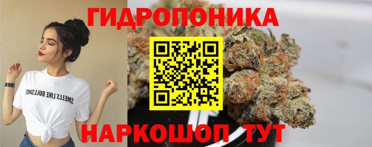 Каннабис планчик  Вход с VPN  Бошки марихуана THC 21%  Мирный 